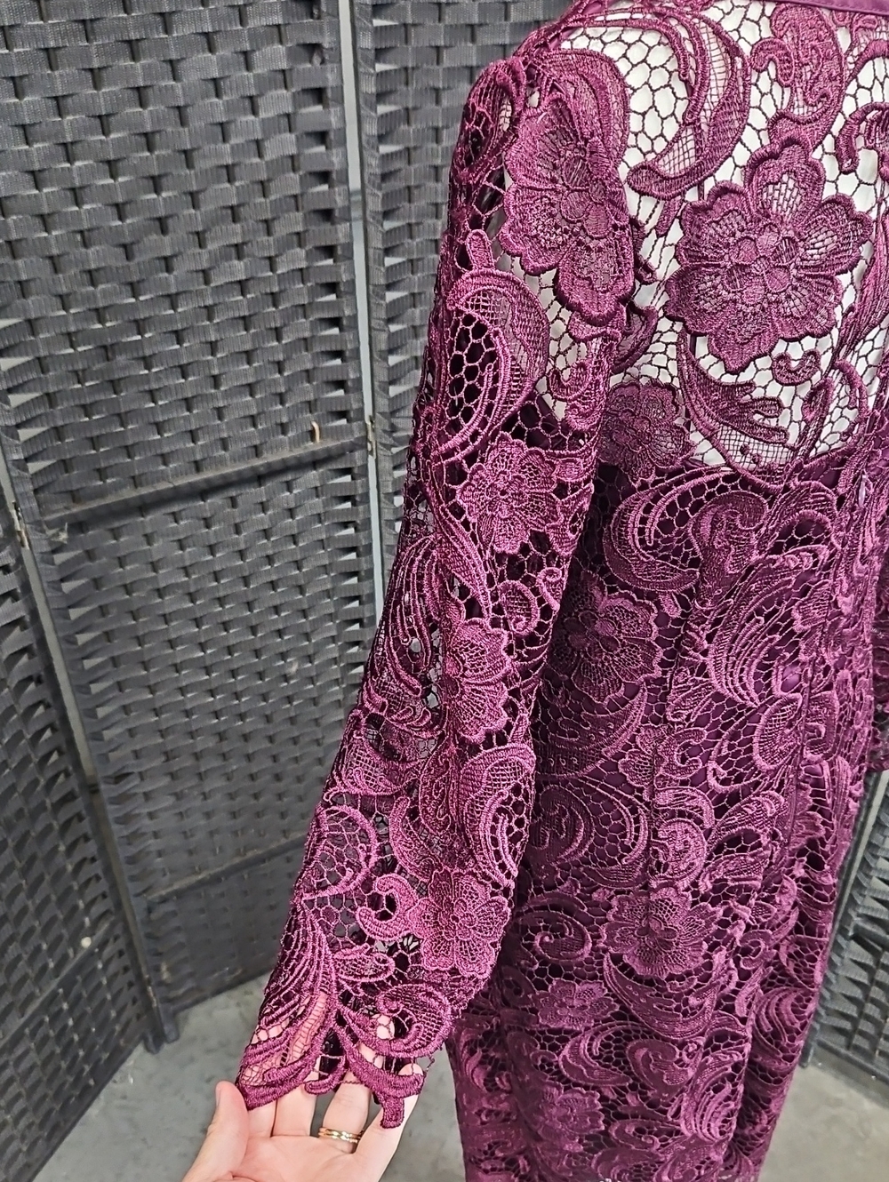 NWT Size 12 Plum/Eggplant Long Sleeve Lace Adrianna Papell Cocktail - Picture 10 of 11